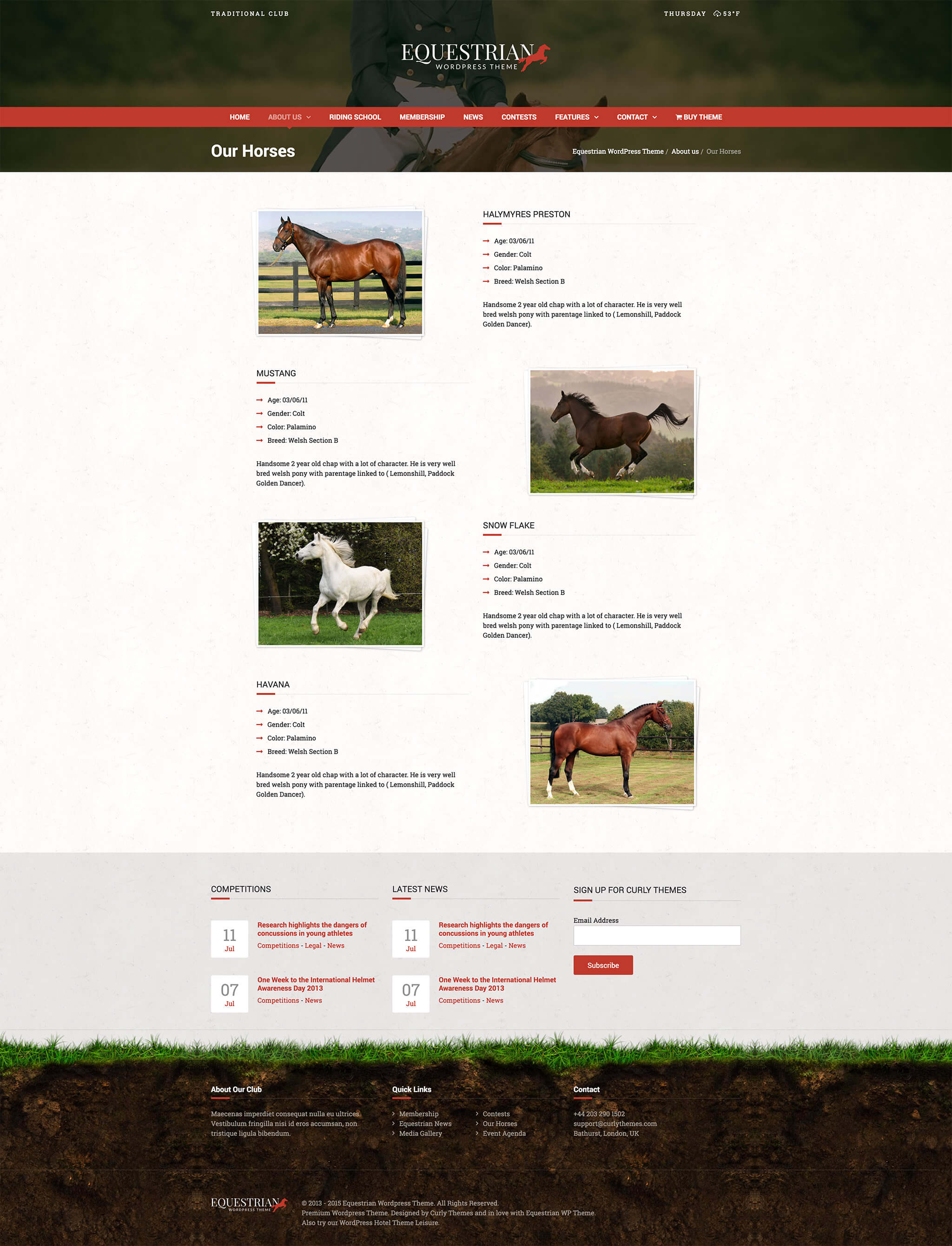 Equestrian WordPress Theme - Our Horses Page